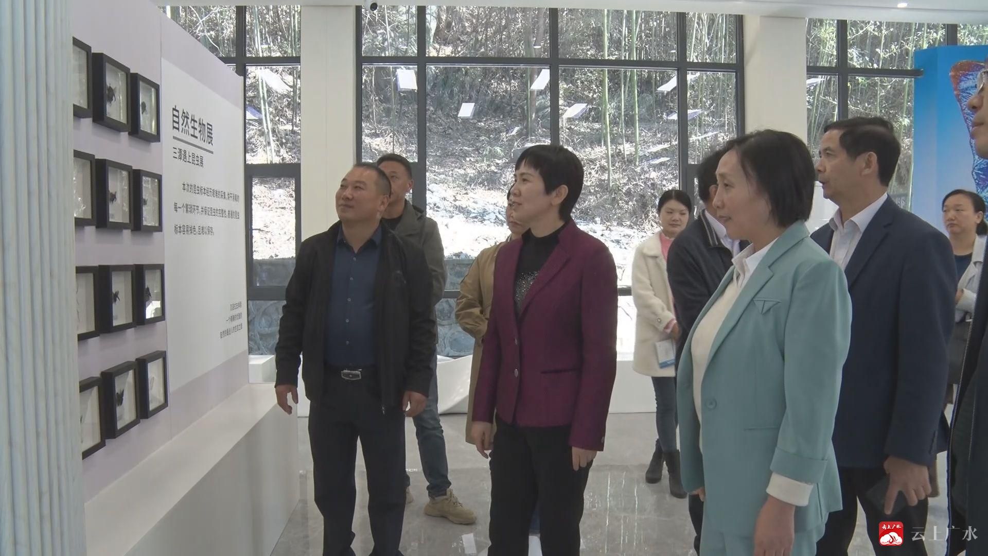 刘秀玲：创建4A级旅游景区 推进全域旅游发展