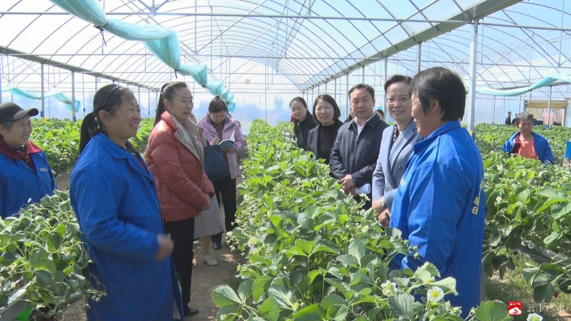 와이즈 스포츠 토토